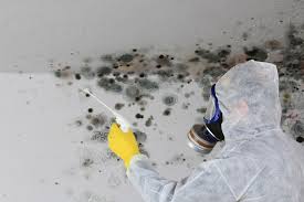 Best Biohazard Mold Removal  in Muldrow, OK